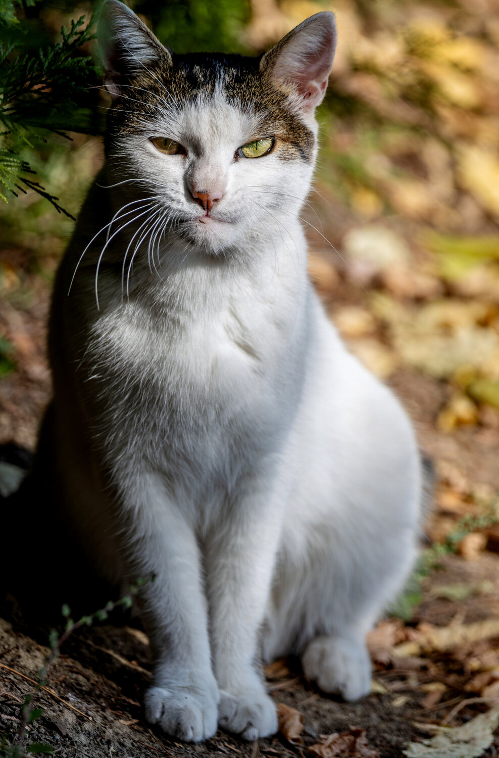Photo #14028593