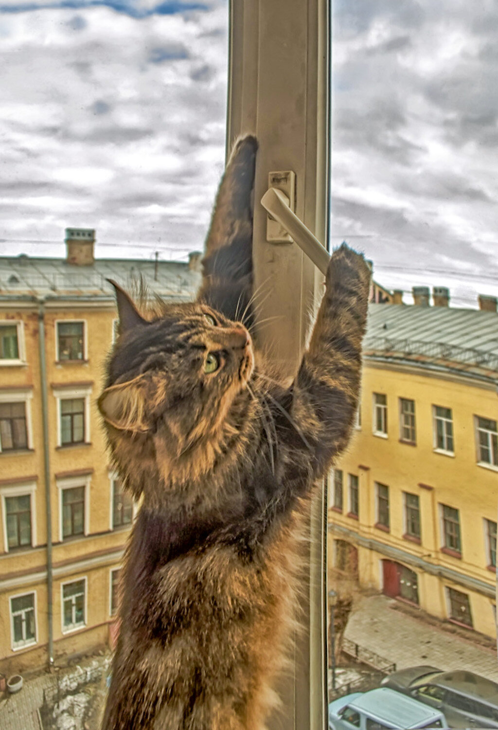 Photo #14028621