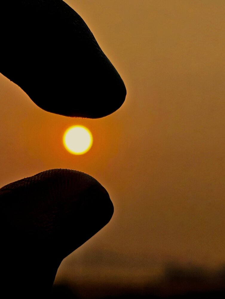 Photograph by Rajnewton Sonowal
