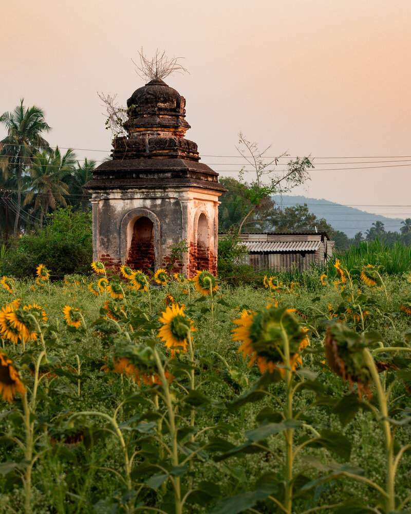 Photograph by JAGADESH RAJENDRAPRASAD