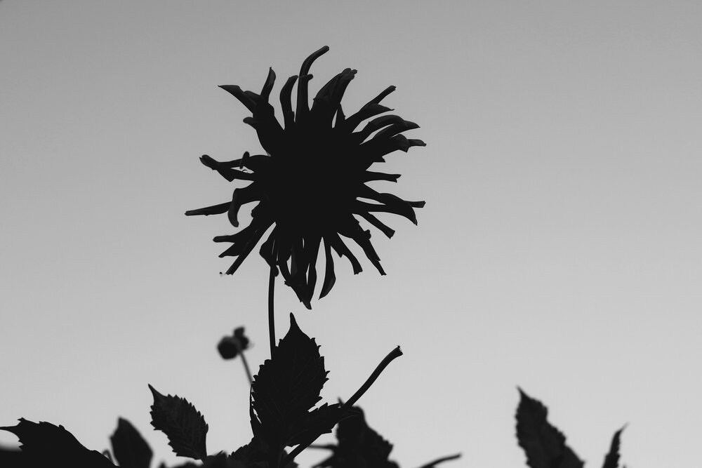 Photograph by Iuliia Tutynina