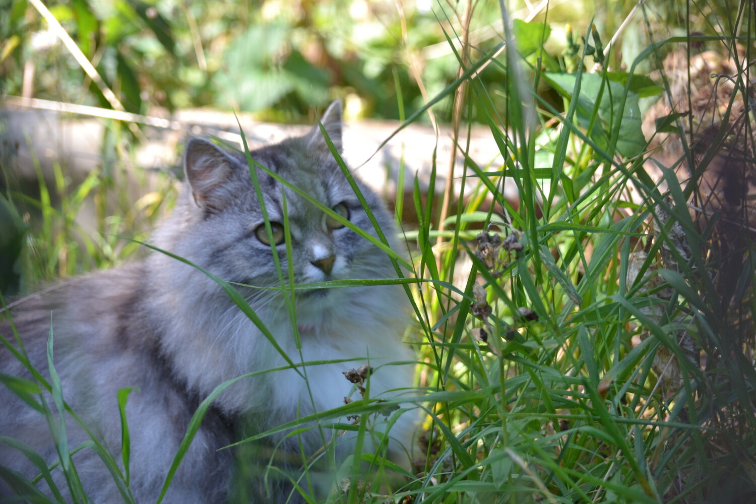 Photo #14028654
