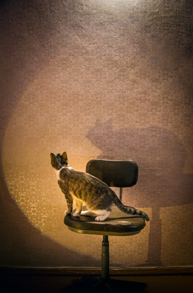 Photograph by Наиль Шакиров