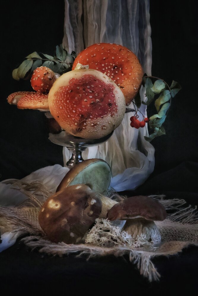 Photograph by Olga Asson
