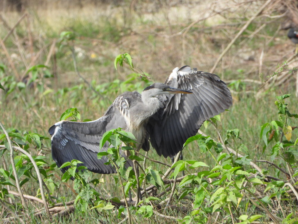 Photograph by Sougata Bhar