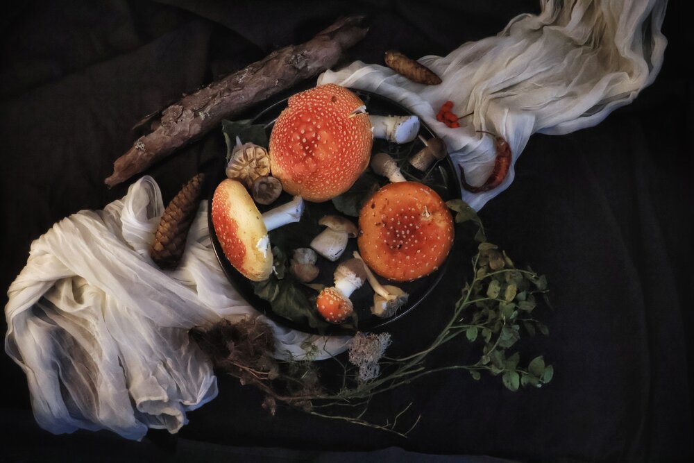 Photograph by Olga Asson