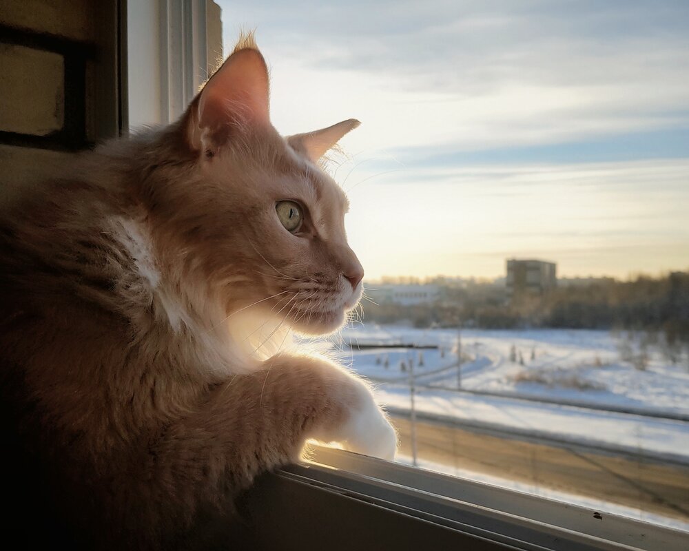 Photograph by Ольга Рыбина