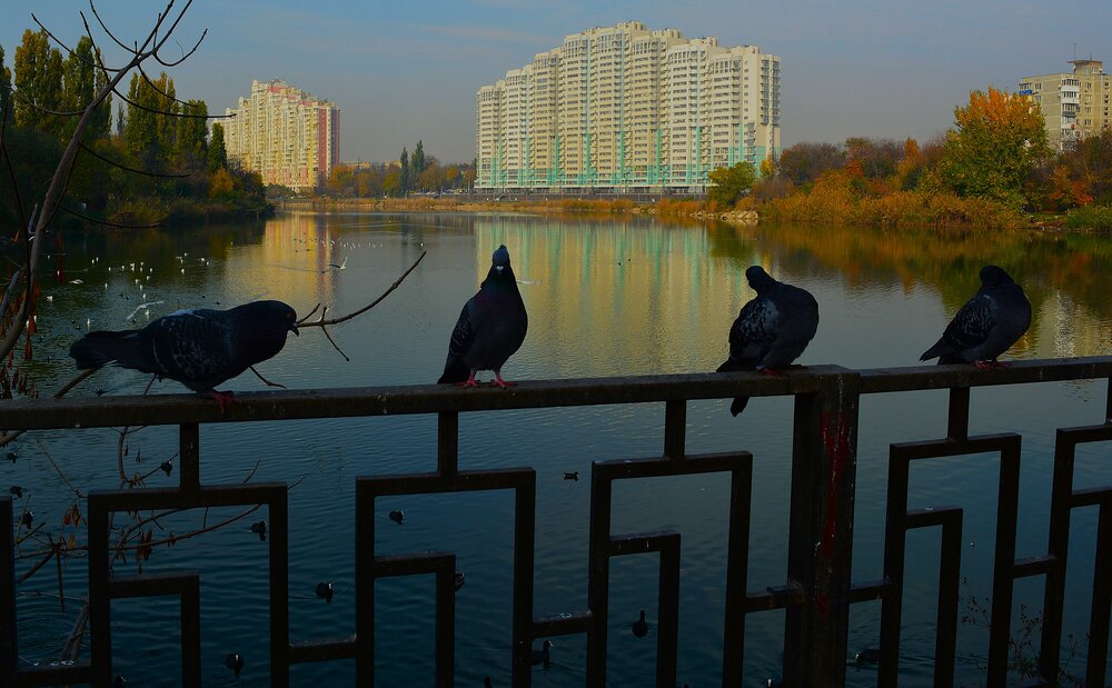 Фотография автора Сергей Костин