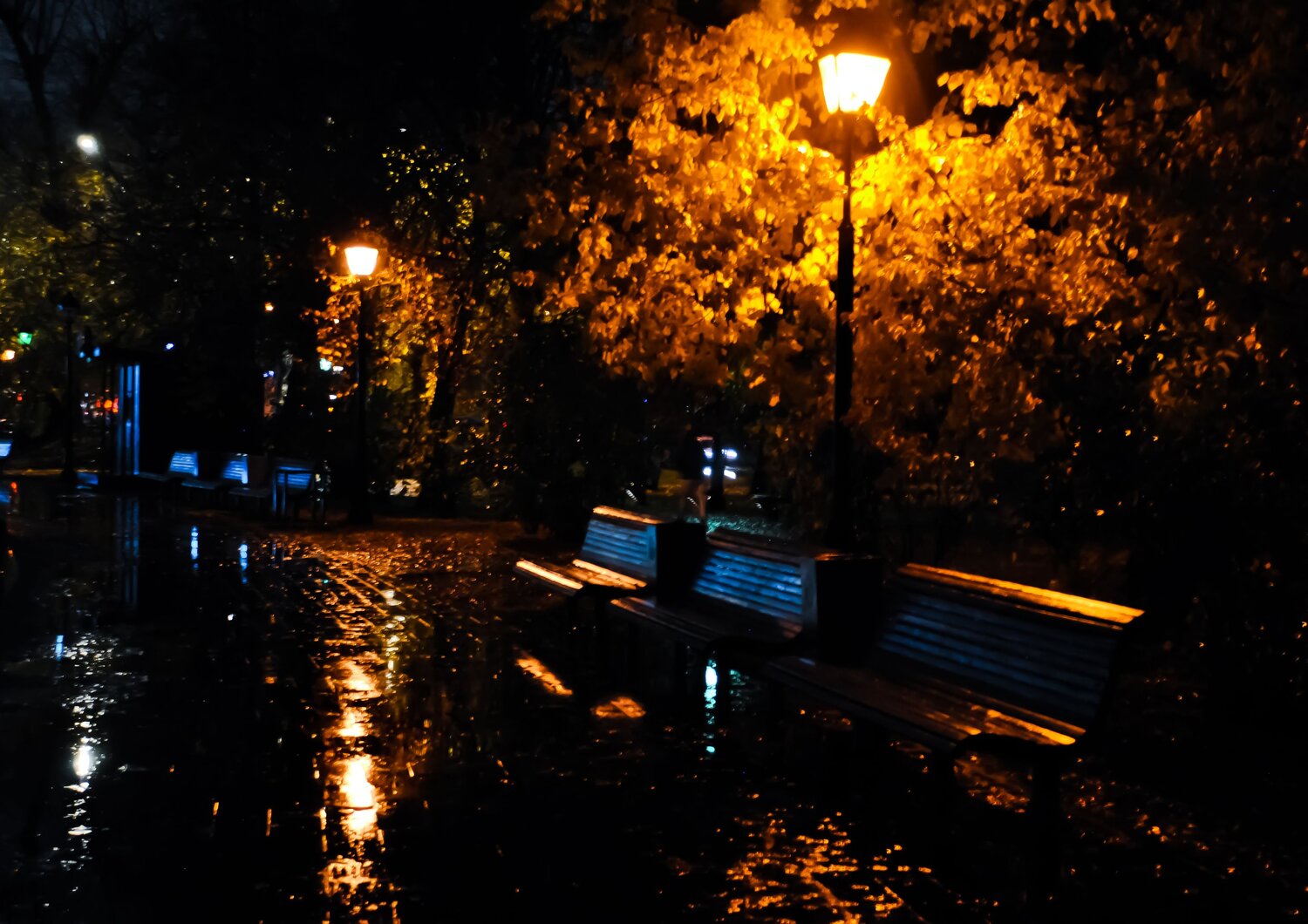 Photo #14028814