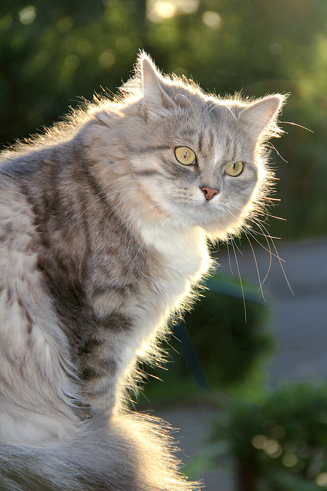 Photograph by Шруб (Беляева) Татьяна