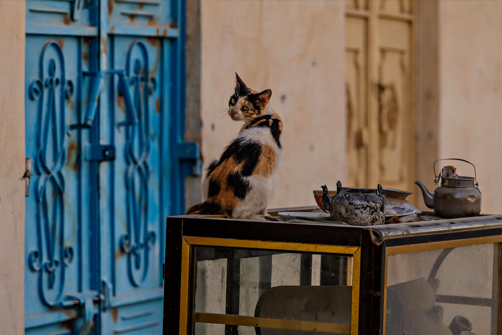 The Alley Guardian and Ancient Heritage