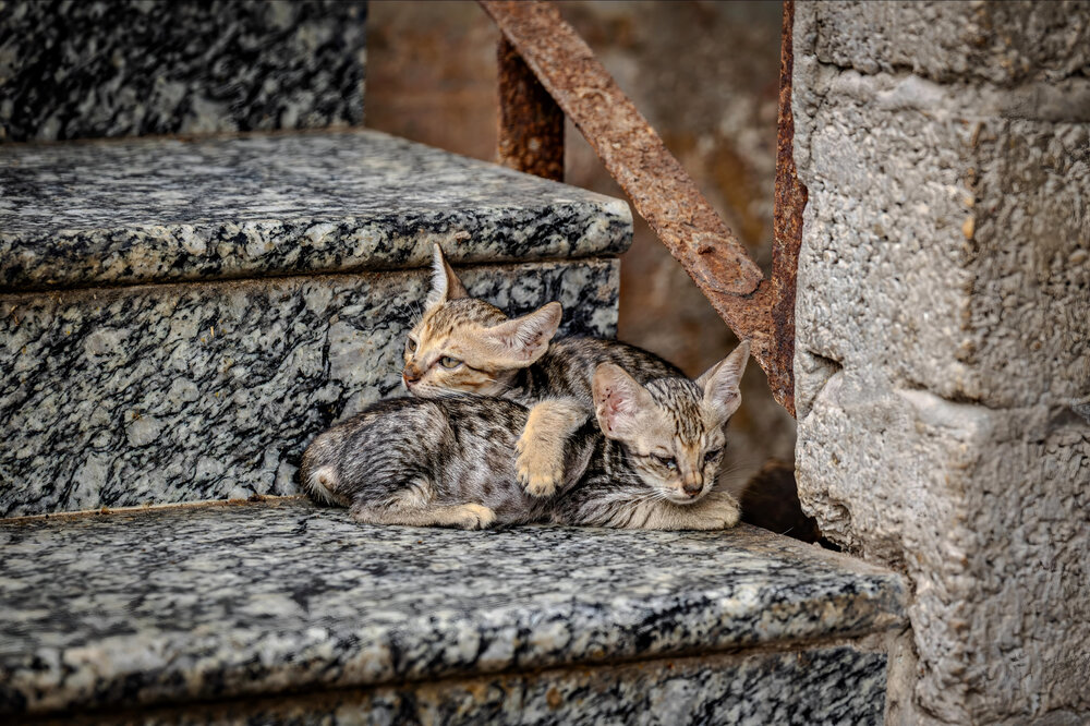 Staircase Intimacy and Childhood Warmth