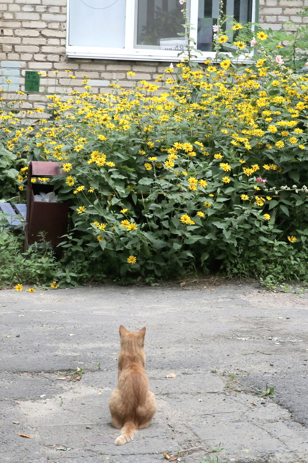 Photo #14028960