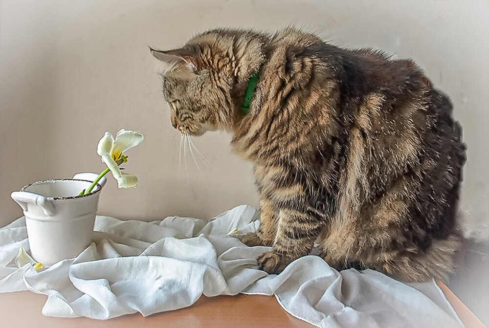 Photograph by Любовь Ключева