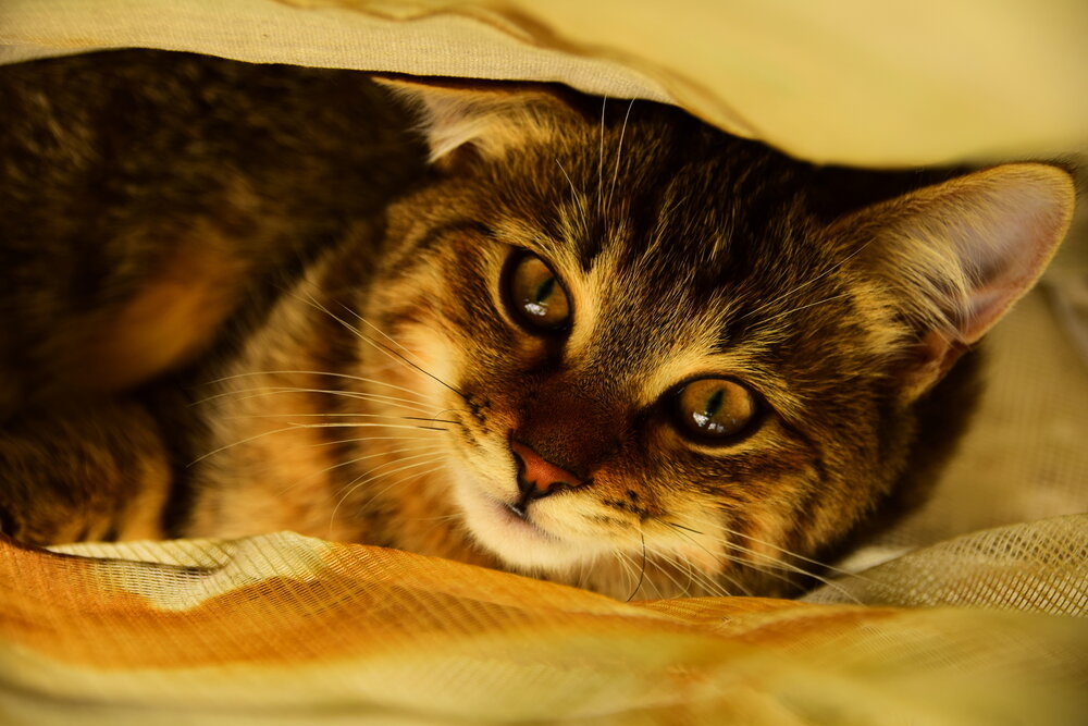 Photograph by Ольга Рыкова