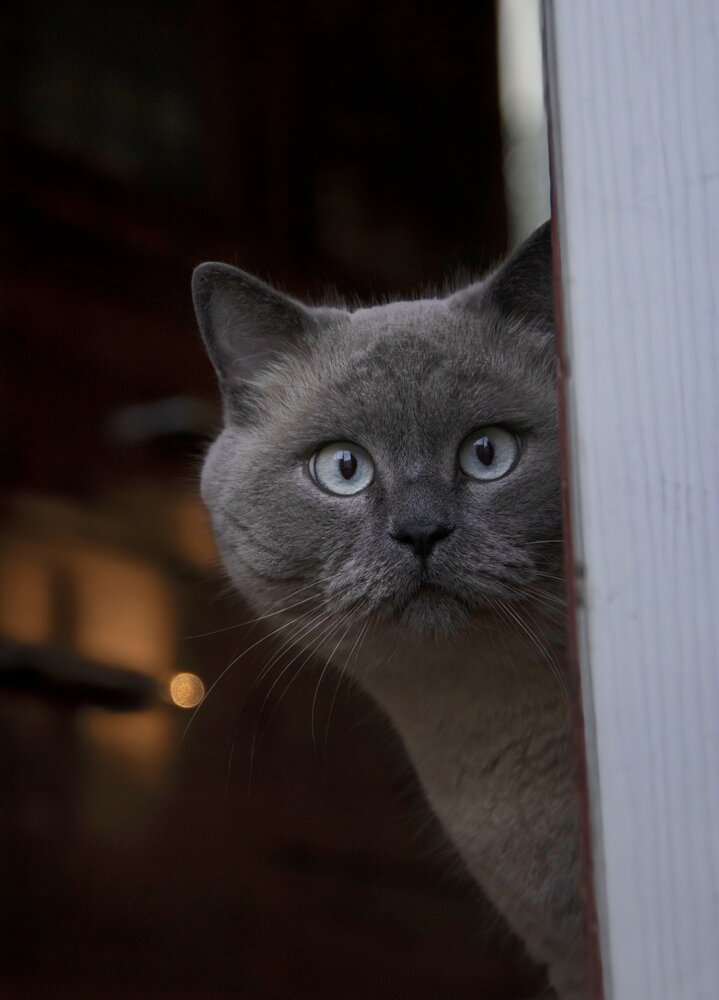 Photograph by Валентина Куренкова