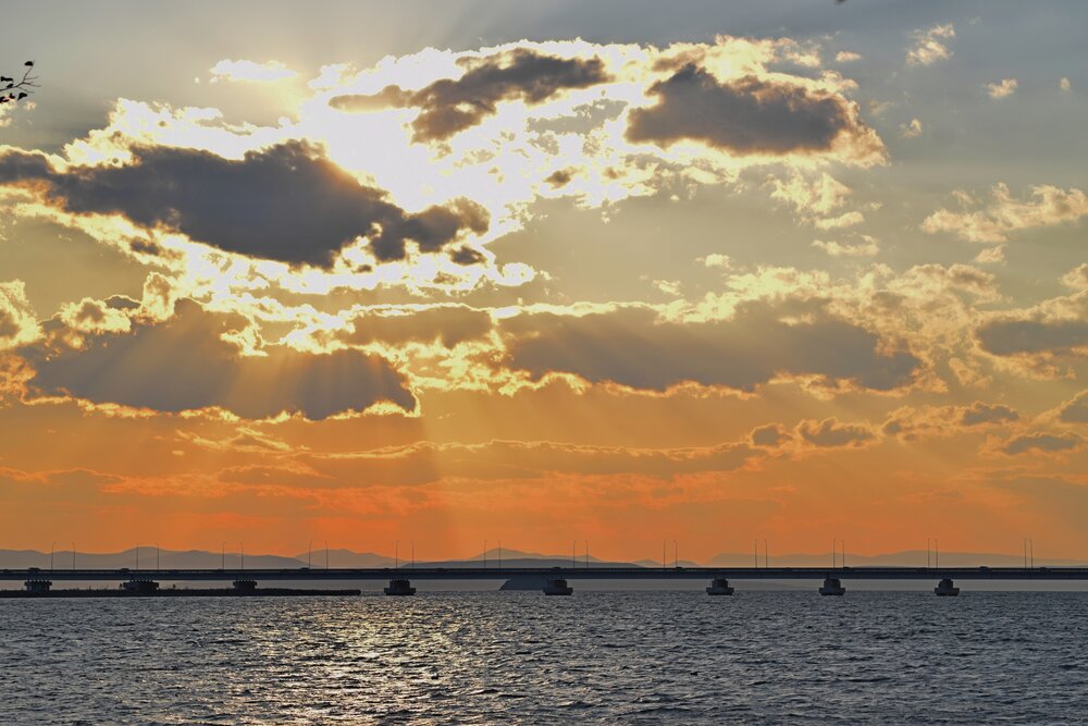 Photograph by 