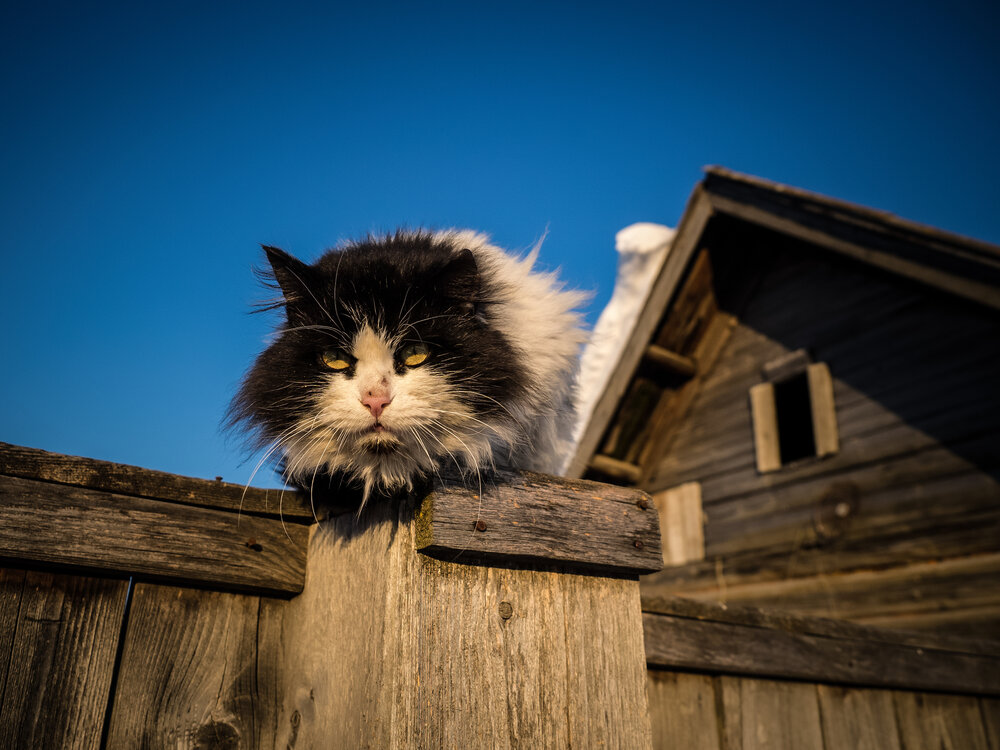 Photograph by Сергей Гивиряк