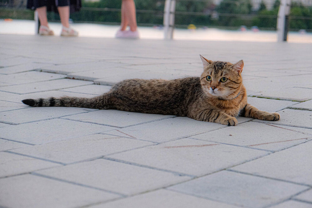 Photograph by Альберт Габбасов