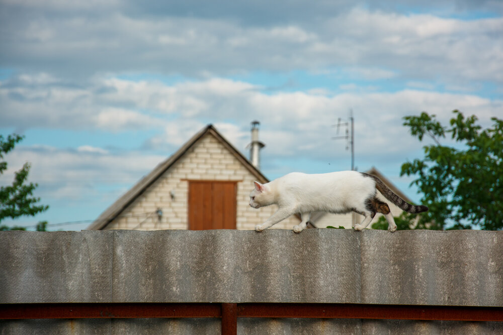 Photograph by Павел Косухин