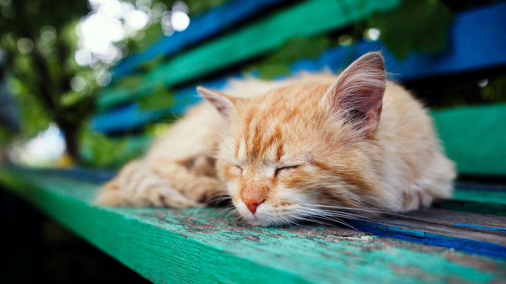 Photograph by Павел Косухин
