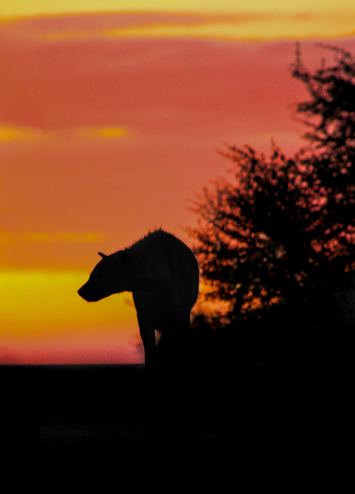 Photograph by Yeila Mostert