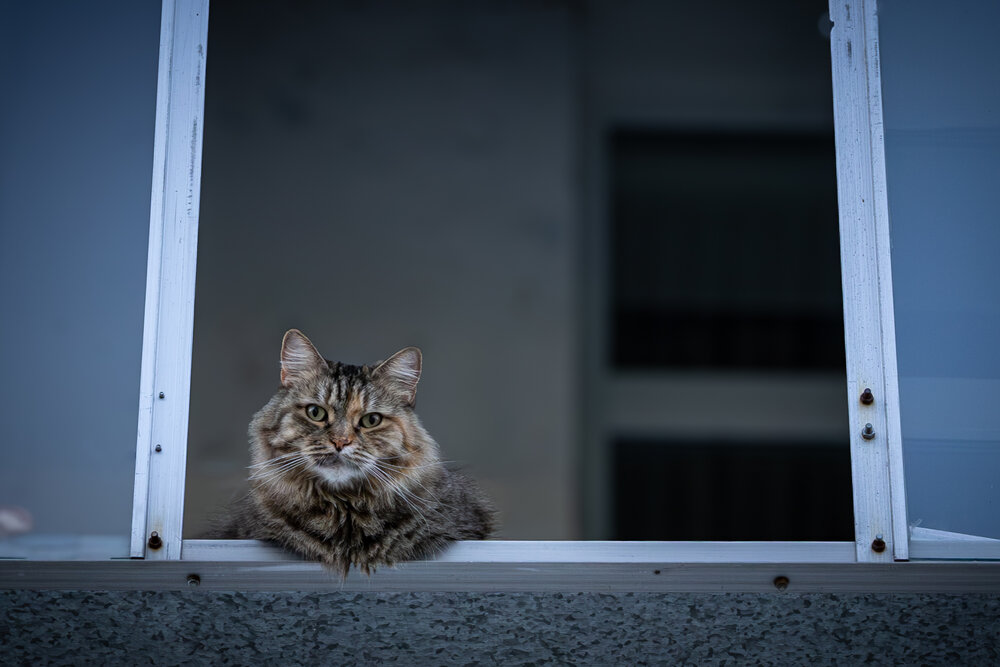 Photograph by Наталья Дронова