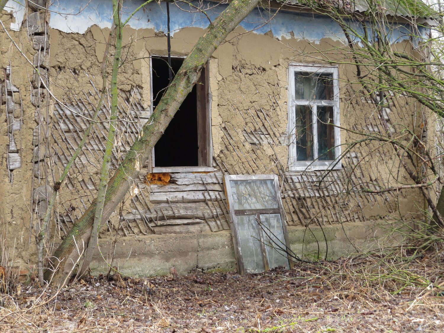 Photo #14029058