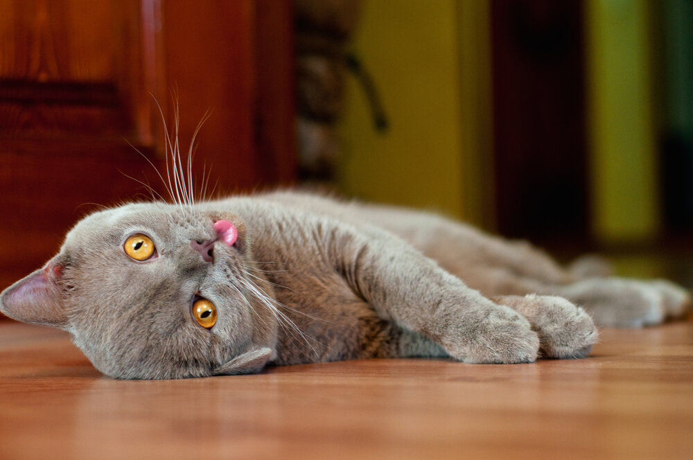 Photograph by Павел Косухин