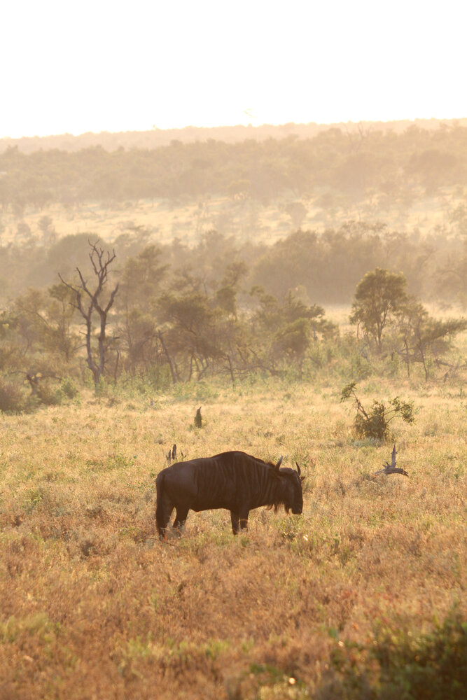 Photograph by Yeila Mostert