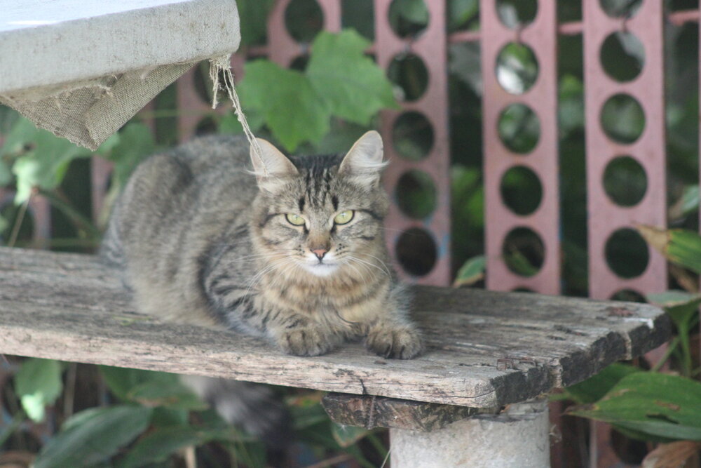 Photograph by Егор Тихоновский