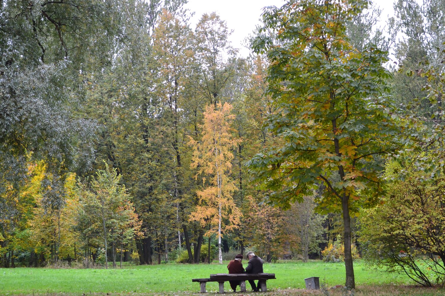 Photo #14029079