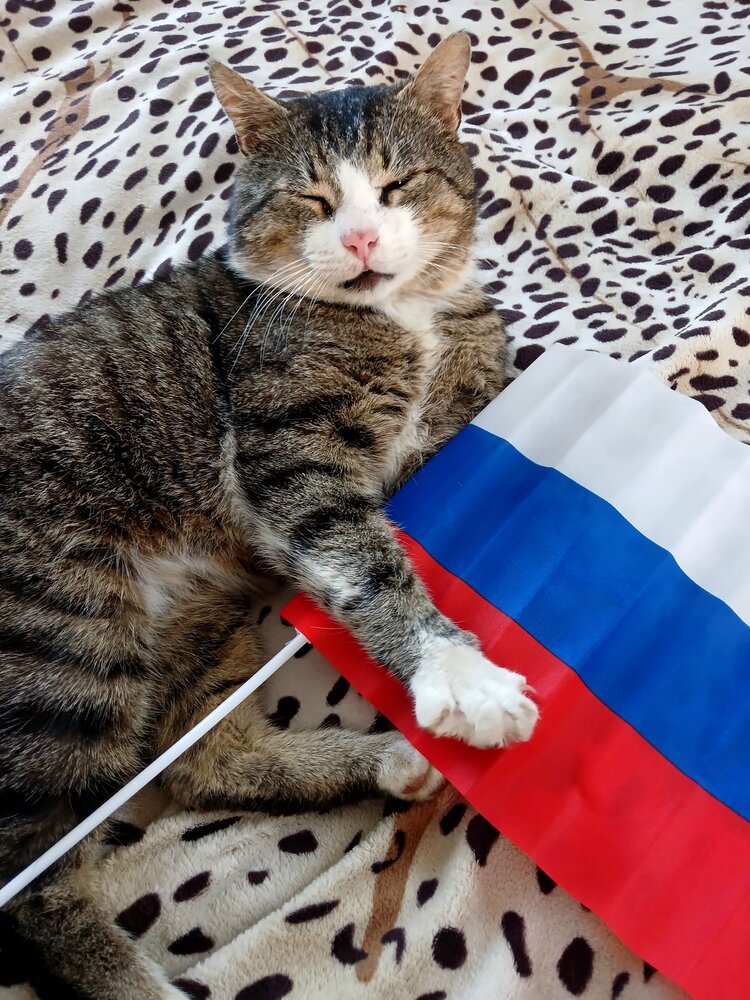 Photograph by Татьяна Королёва