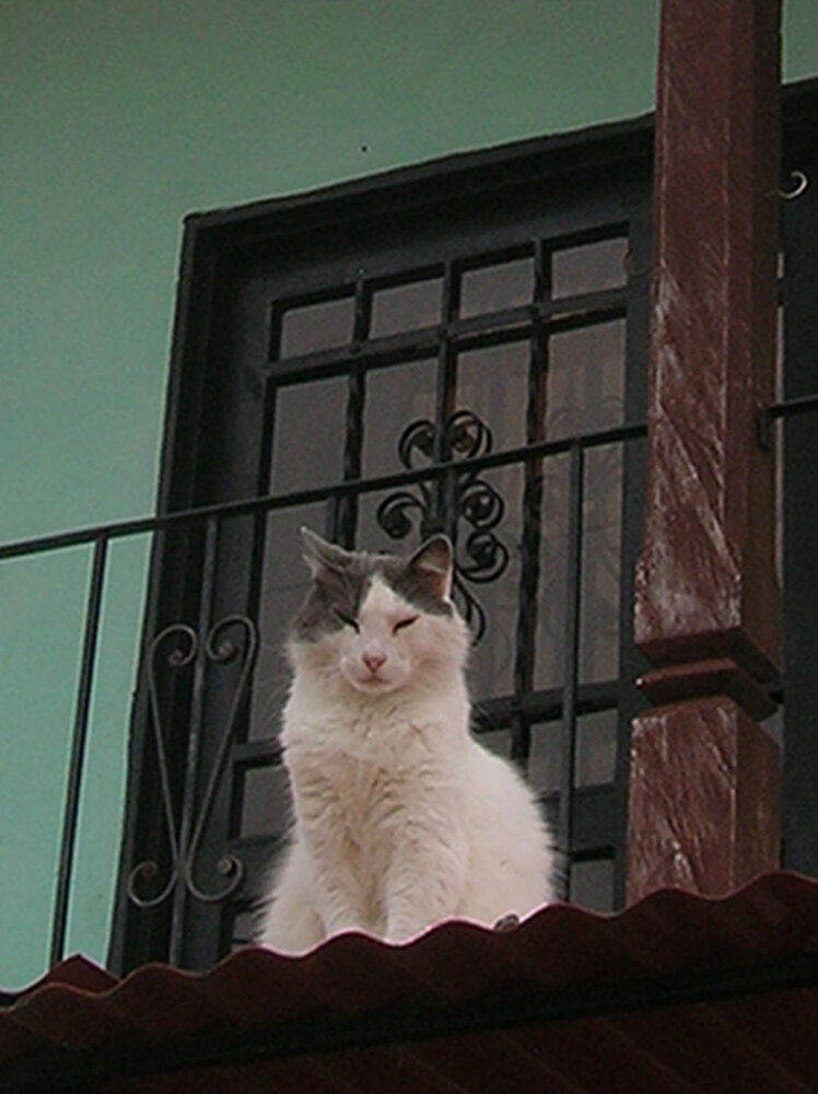 Фотография автора Fabio Eduardo Godoy Ángel