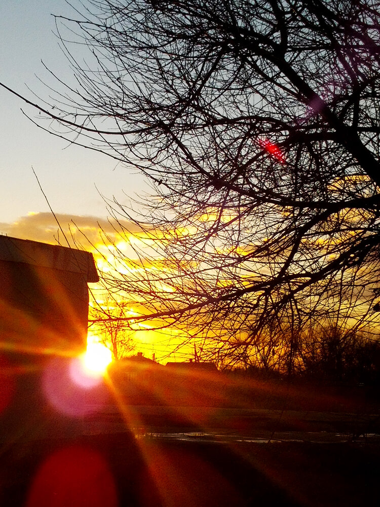 Photo #14029159