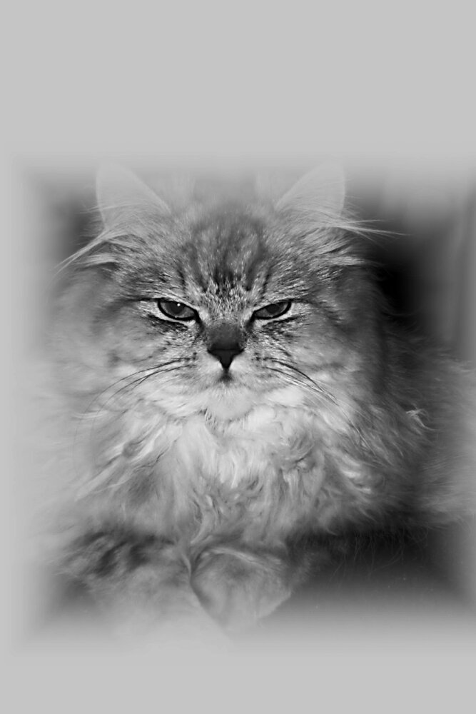 Фотография автора Михаил Жуков