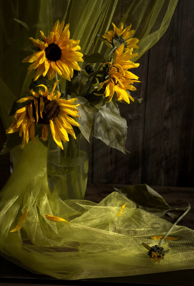 Photograph by Елена Карпухно