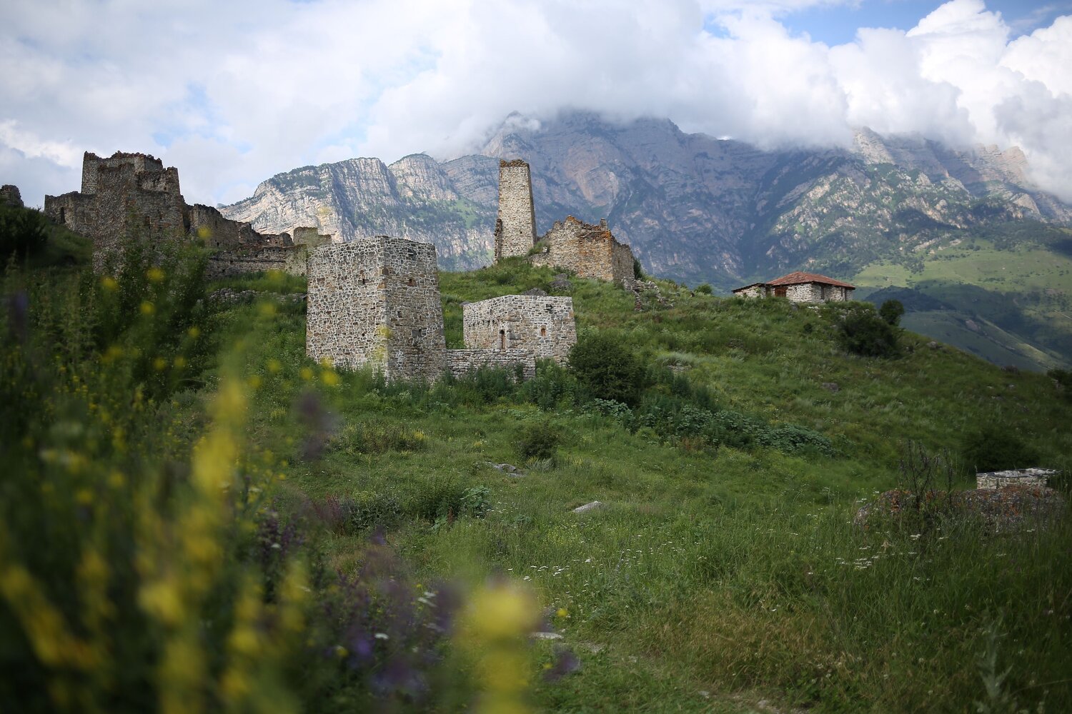 Photo #14029222