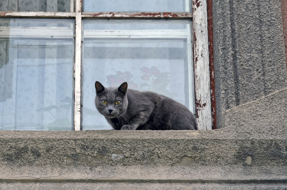 Photograph by Мария Черепкова