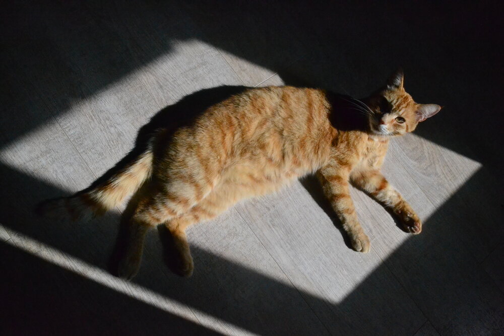 Photograph by София Галиева