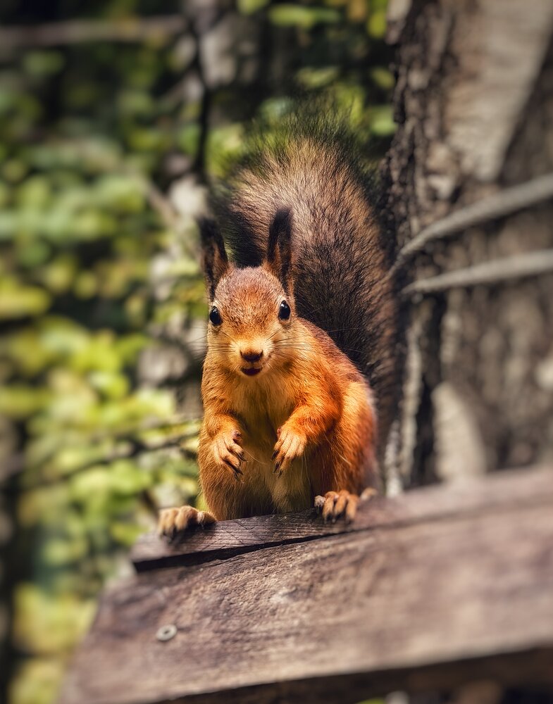 Photograph by Natalia Bolotenkova