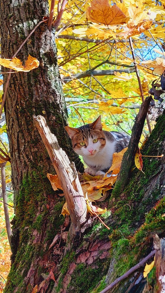 Photograph by Цыманова Марина