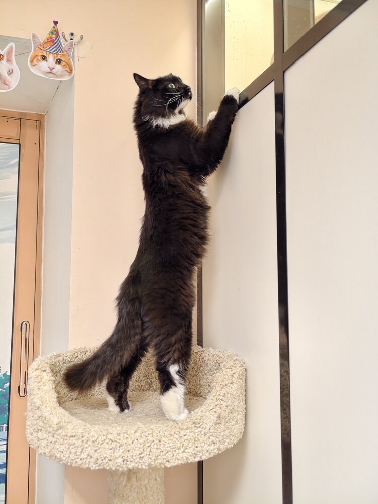 Photo #14029364