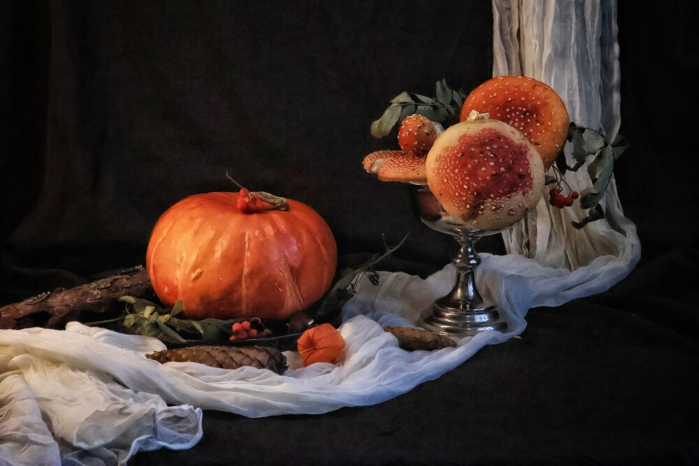 Photograph by Olga Asson