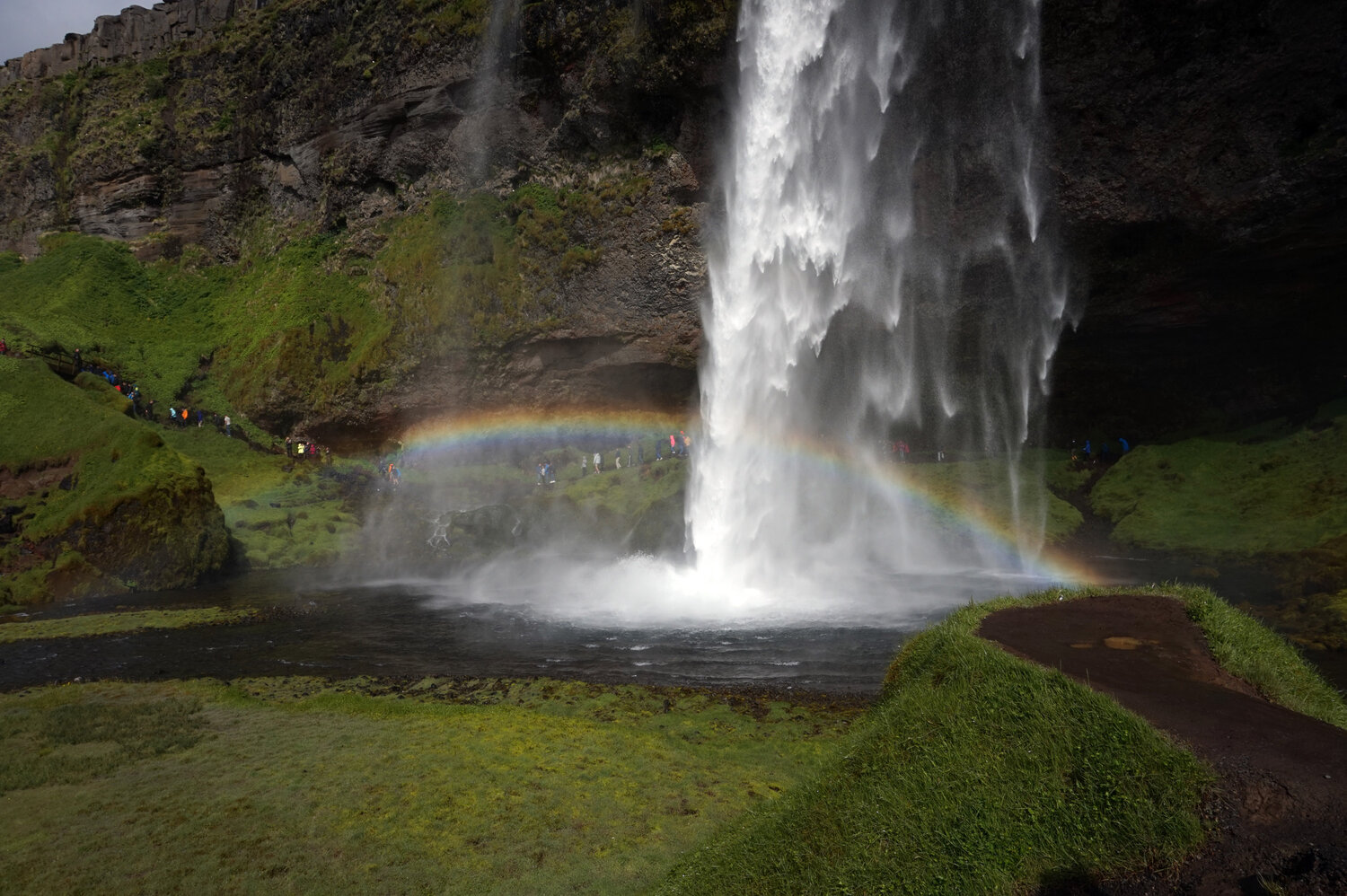 Photo #14029436
