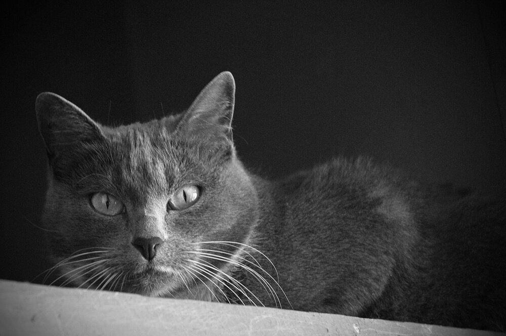 Photograph by Дмитрий Савченко