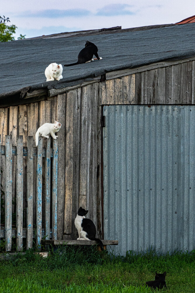 Photograph by Дима Шарапов
