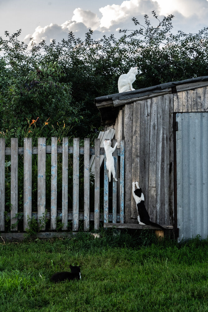 Photograph by Дима Шарапов