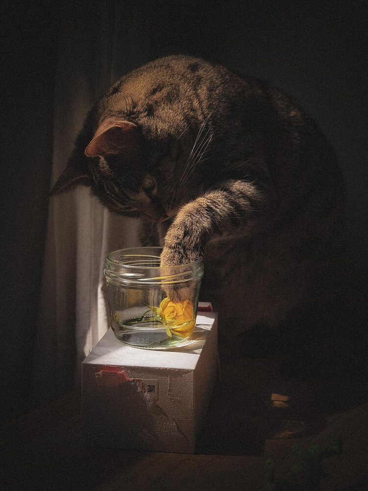 Photograph by Алёна Яцкевич