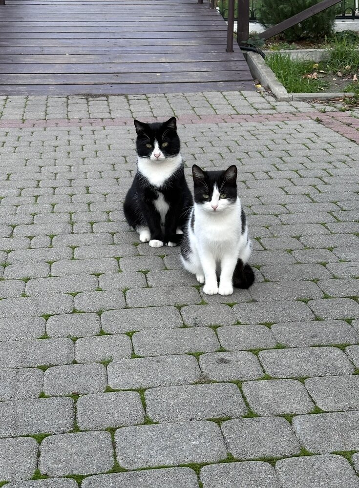 Photograph by Юлия